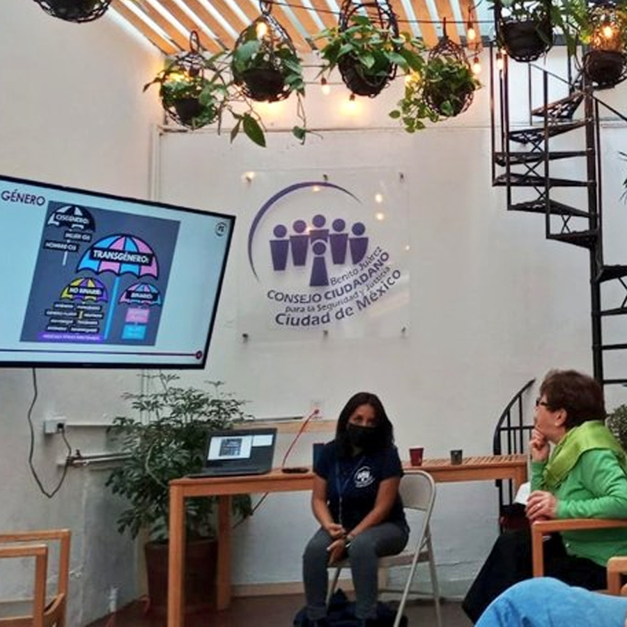 Perspectiva de género y feminismos